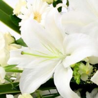 Ramos de Flores Lilium Blancos para regalar a la mamá y complementar tu cesta de recién nacido