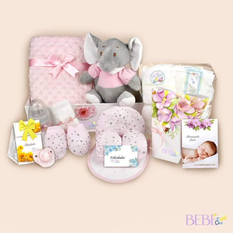 Artículos de la Canastilla Bebé Paseo Rosa de BebéChupete