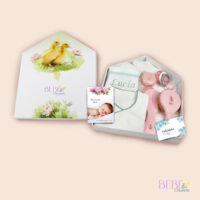 Regalo para bebe recien nacido en forma de casita verde y rosa