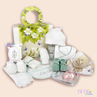 Set regalo bebe mariposas con color verde